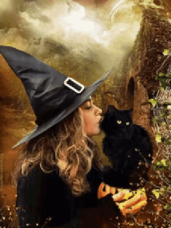 Cat Witch Girl gif