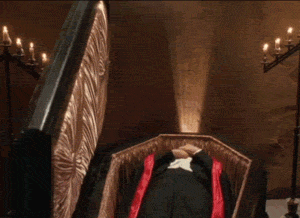 dead-and-loving-it-coffin-gif.gif?w=300&