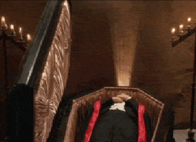 Dead and Loving it coffin gif