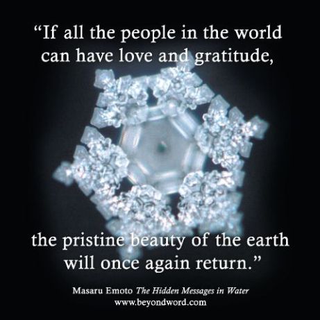 Masaru Emoto love gratitude water quote
