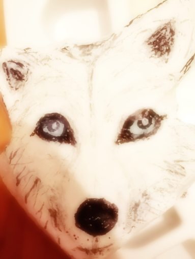White Wolf painted on a Stone